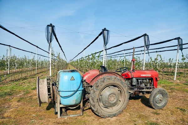 Tractor with sprayer on a cherry farm.