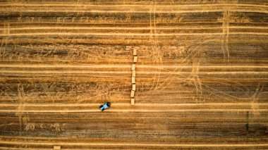 Traktör bir çiftlikte çalışıyor ve saman balyaları topluyor..