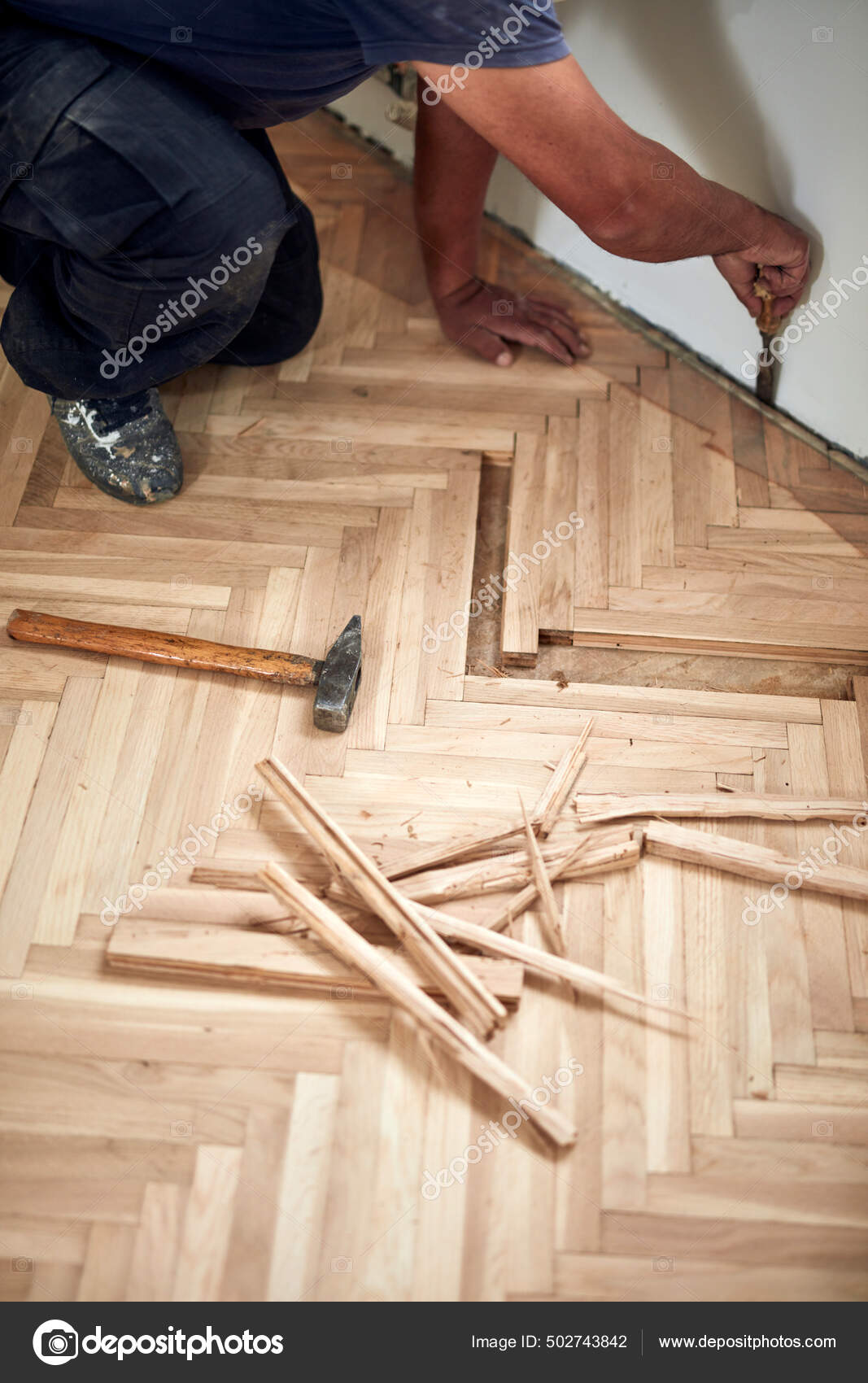 Reparador Restaurando Parquet Viejo Piso Madera Dura: fotografía de stock ©  milangucci #502743842