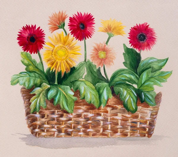 Akvarellmålning av Aster blommor i en korg — Stockfoto
