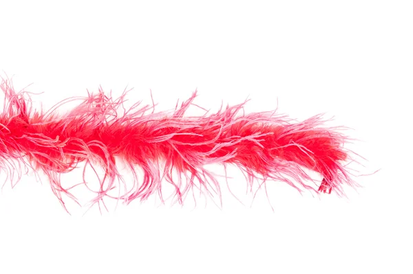 Gedeelte van feather boa — Stockfoto