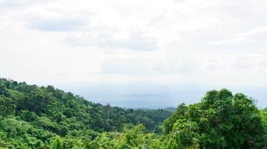 Ormanların manzarası, yemyeşil dağlar ve güzel gökyüzü..