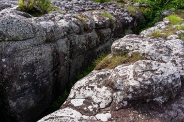 Ormandaki büyük bir kaya yarığının fotoğrafı.