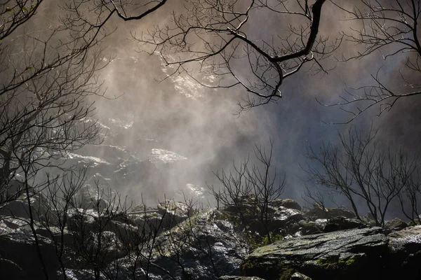 Rochers Arbres Vapeur Eau Sous Une Cascade Forêt Naturelle — Photo