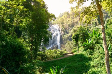 Zengin ormanda güzel şelale resimleri