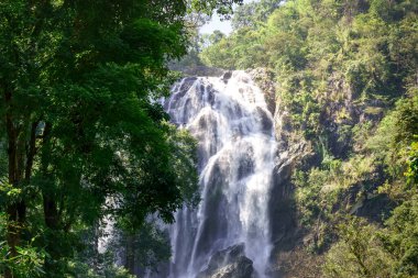 Zengin ormanda güzel şelale resimleri