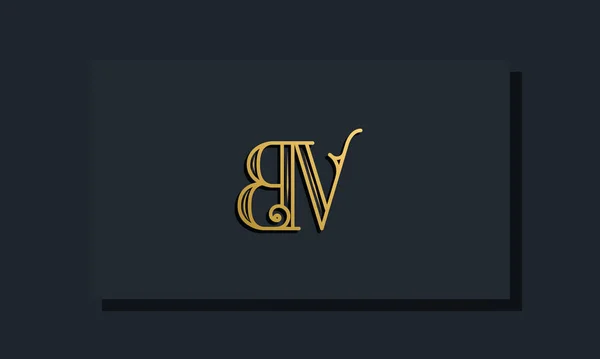 最小内联风格初始Bv标志 这个标志以创造性的方式与现代字体结合在一起 适用于那些公司或品牌的首字母首字母缩写 — 图库矢量图片