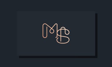 İlk harf M.S. logosu. Bu logo, klip yazı tipinden esinlenilmiştir. Hangi şirket veya markanın bu ilk uygulamayı başlattığı için uygun olacaktır.