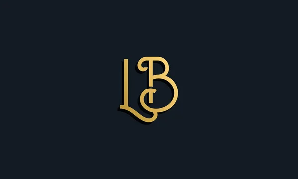 Letra Inicial Moda Lujo Logo Este Icono Incorpora Con Tipografía — Vector de stock