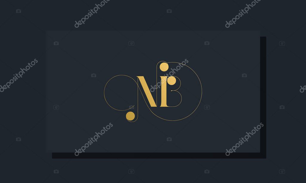 Minimal royal initial letters NB logo. This logo incorporate with luxury typeface in the creative way.It will be suitable for which company or brand name start those initial.