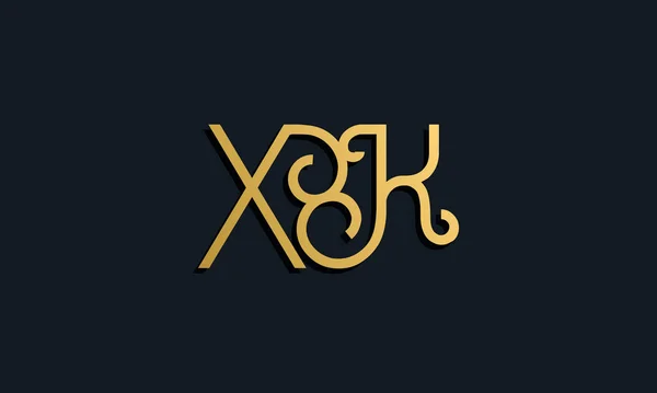 Luxusní Módní Počáteční Písmeno Logo Tato Ikona Obsahuje Moderní Písmo — Stockový vektor