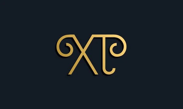 Moda Lujo Inicial Letra Logo Este Icono Incorpora Con Tipografía — Archivo Imágenes Vectoriales