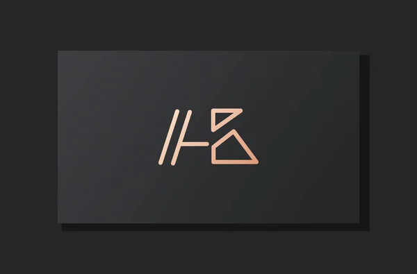 Abstraktní Luxusní Počáteční Písmeno Logo Toto Logo Obsahuje Abstraktní Písmo — Stockový vektor