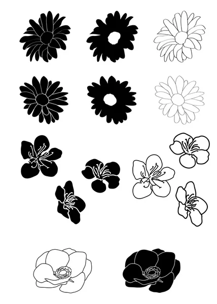 Schwarz-weißes Blumenset — Stockvektor