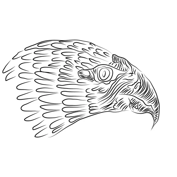 Cabeza de águila pintada a mano — Vector de stock