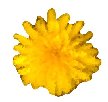 Triangulated sarı çiçek