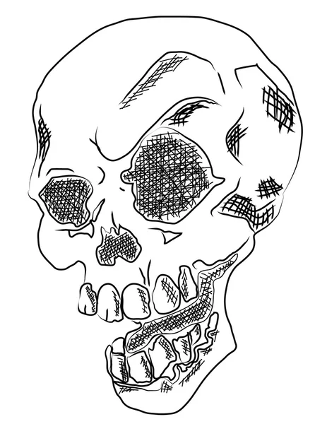 Hand-drawn skulls vector. — Stock Vector