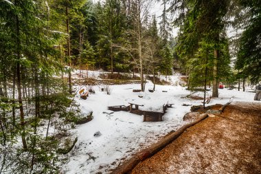 İtalya'da karlı Alpler üzerinde kozalaklı bir ormanda dağ izi