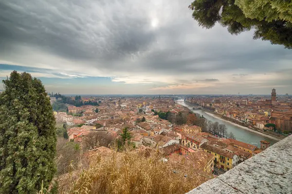 Verona detrás de los árboles — Foto de Stock