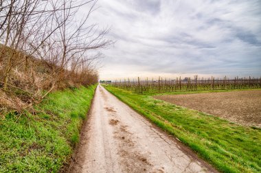 kış aylarında ülkede genç yeni bitkileri satır
