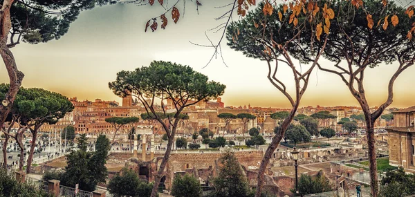 Paysage urbain hivernal de Rome — Photo