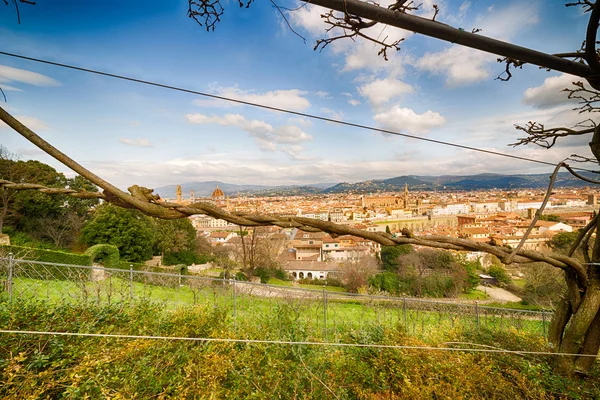 View Italian Style Bardini Gardens Florence Italy — Stock Photo, Image