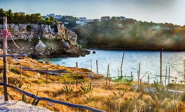 Talya Puglia Kayalık Kıyısında Güneşli Bir Gün — Stok fotoğraf