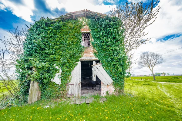 Antiguo País Arruinado Casa Campo Romaña — Foto de Stock