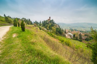 Ülke kir yol İtalya'da Brisighella köyünün saat kulesi yanında selvi ağaçları ile sınırlanmış