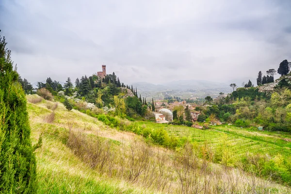 Zöld Vidék Körüli Óratorony Néző Brisighella Emilia Romagna Olaszországban — Stock Fotó
