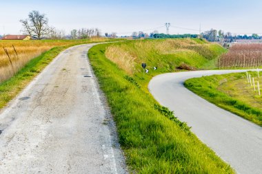 İtalya'da Emilia Romagna kırsaldüzlükte meyve ağaçlarının alanları yakınında asfalt yol