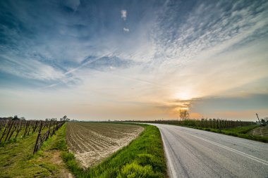 İtalya'da Emilia Romagna kırsalovalarda alanlarda asfalt yol