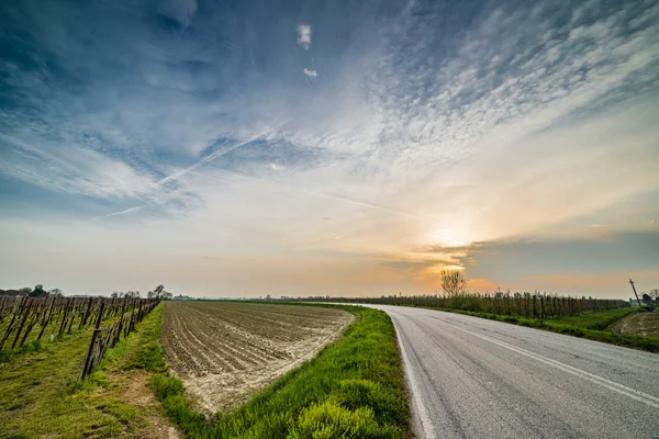 İtalya'da Emilia Romagna kırsalovalarda alanlarda asfalt yol