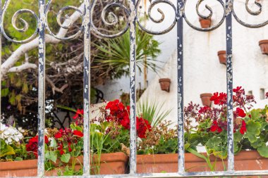 kakma demir ızgara arkasında kırmızı sardunyalar