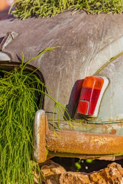 kayalar ve kaktüslerle çevrili çöl kumunda eski paslı bir arabanın leşi