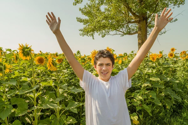 Open air and open arms  Caucasian boy is raising his arms in front of yellow sunflower fields during summer in Italian countryside