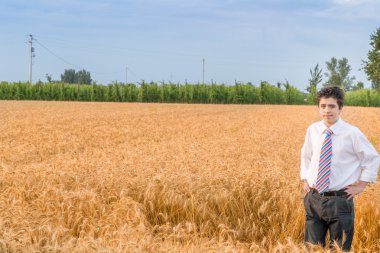 Altın buğday alanında iyi bir çocuk