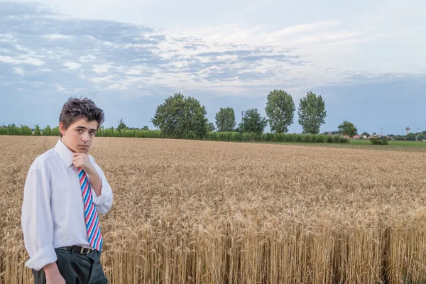 Милий білий хлопчик на пшеничному полі — стокове фото