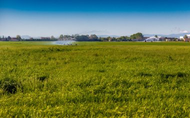 Emilia Romagna alanlarının sprey sulama