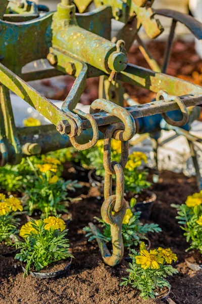 Old Plow Yellow Flowers — Stock Photo, Image