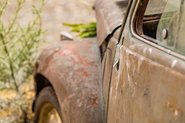 Kumun içindeki tarihi araba hurdası.