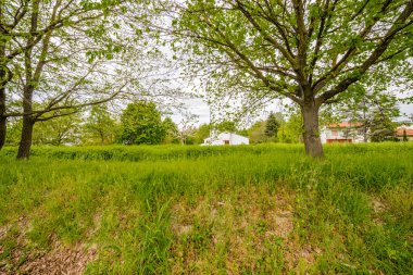 Emilia Romagna tarım alanlarına bir yürüyüş