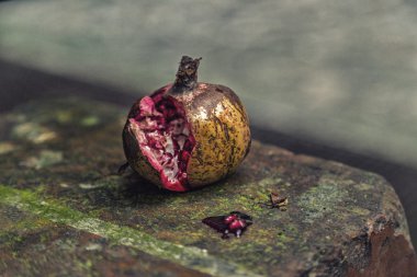 misk duvarında tahıl ve meyve suyu ile bölünmüş nar