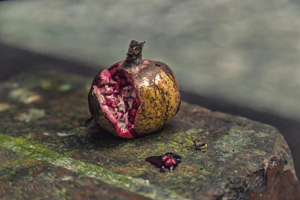 misk duvarında tahıl ve meyve suyu ile bölünmüş nar