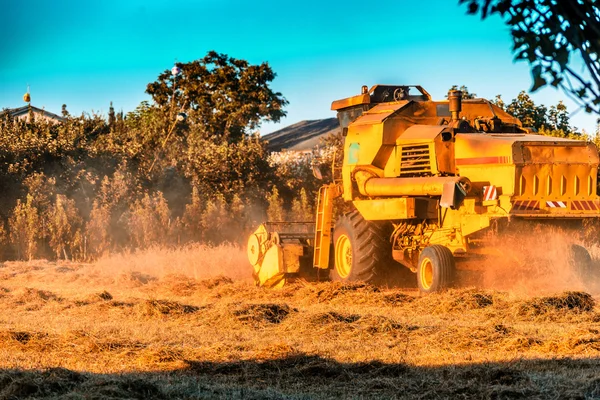 Weizenernte Mit Einem Modernen Mähdrescher Der Italienischen Landschaft — Stockfoto