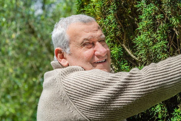 Idosos Caucasiano Jardim Verde Abraça Com Carinho Arbusto Alto — Fotografia de Stock