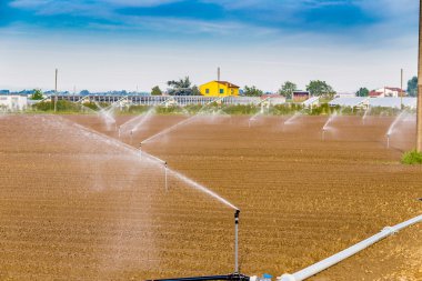 fotovoltaik paneller yakınında dönen püskürtücüler ile ekili alanların sulama