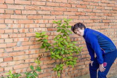 Bir limon ağacının yanında kafkas çocuk