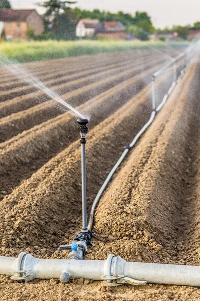 Bewässerung Bestellter Felder Mit Rotierendem Sprühgerät — Stockfoto