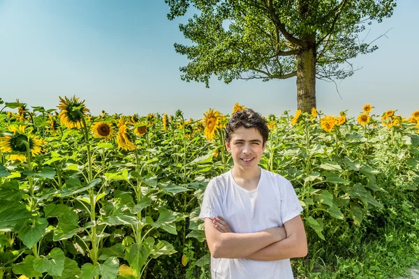 Open air and open arms, Caucasian boy is crossing his arms in front of yellow sunflower fields during summer in Italian countryside